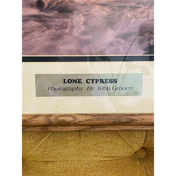 Large Lone Cypress Print By John Gronert In Matted Wood Frame Vintage - Picture 2 of 8